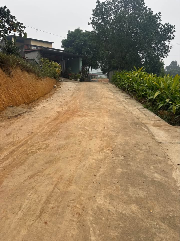 Đất nền 93,2m² tại tổ 10 Nông Tiến, Tuyên Quang chỉ 700 triệu - Đầu tư ngay hôm nay!