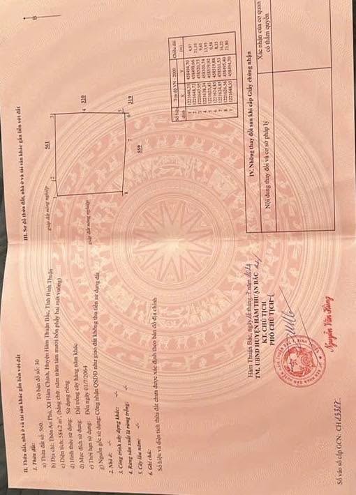 Đất cây trồng 1075m² An Phú - Giá 270 triệu, thương lượng ngay!