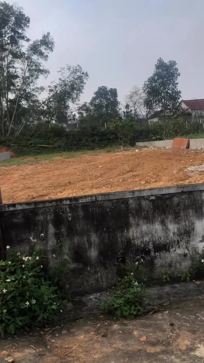 Đất nền chính chủ tại Xã Nam Thanh, Huyện Nam Đàn 525m² - Giá chỉ từ 2 tỷ!