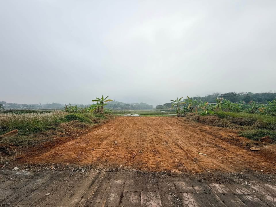 Đất đấu giá Làng Mạ Tam Đảo 100m² giá 1.6 tỷ - Sổ hồng chính chủ!