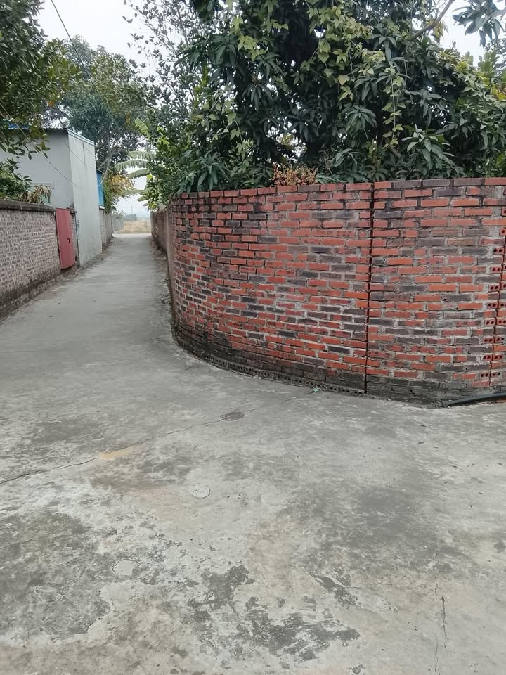 Đất nền Kim Đính, Huyện Kim Thành 90m² giá chỉ 700 triệu - Lô góc 2 mặt tiền