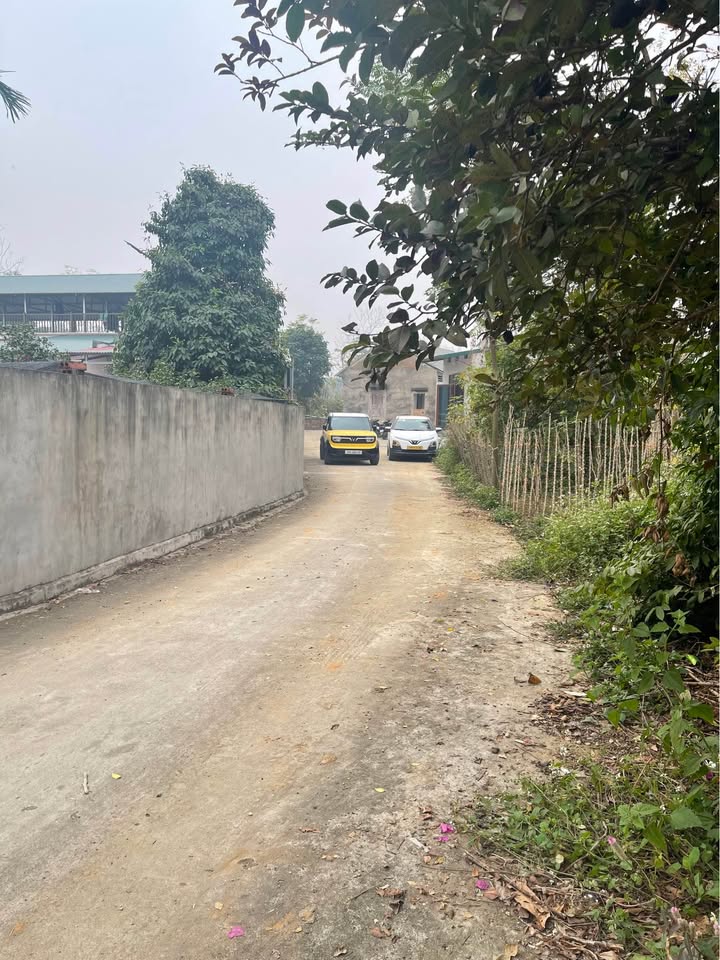 Đất thổ cư Khu 10, Kim Đức 192,6m² giá 980 triệu - Tiềm năng đầu tư lớn!