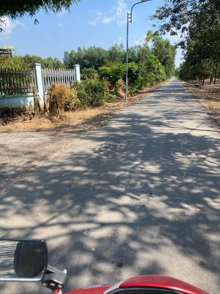 Đất nền 1000m² mặt tiền đường nhựa lớn Biên Hòa - Giá chỉ 710 triệu!