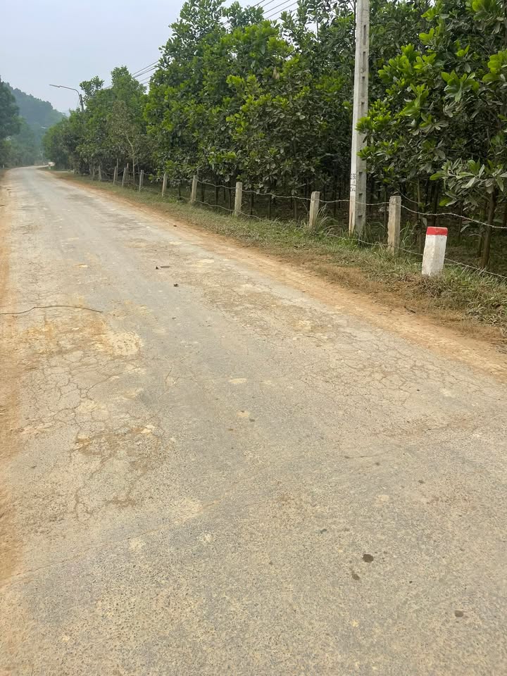 Đất nền Cát Vân, Như Xuân 680m² giá 3.5 tỷ - Cơ hội đầu tư hấp dẫn!