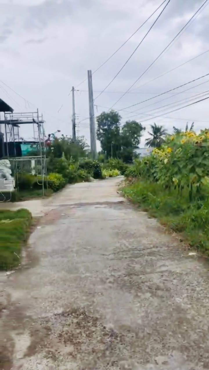 Đất trồng cây lâu năm tại phường An Xuyên, Cà Mau 490m² giá 3 tỷ - Sổ hồng chính chủ!