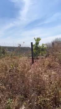 Đất nền 1400m² tại thôn 10, xã Kiến Thành, giá 14 tỷ - Cơ hội đầu tư giá trị!