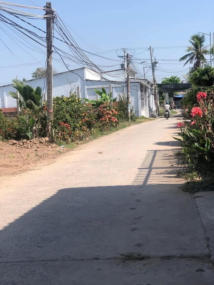 Đất thổ cư 800m² tại Tân Phú Đông, Tiền Giang - Giá thỏa thuận hấp dẫn!