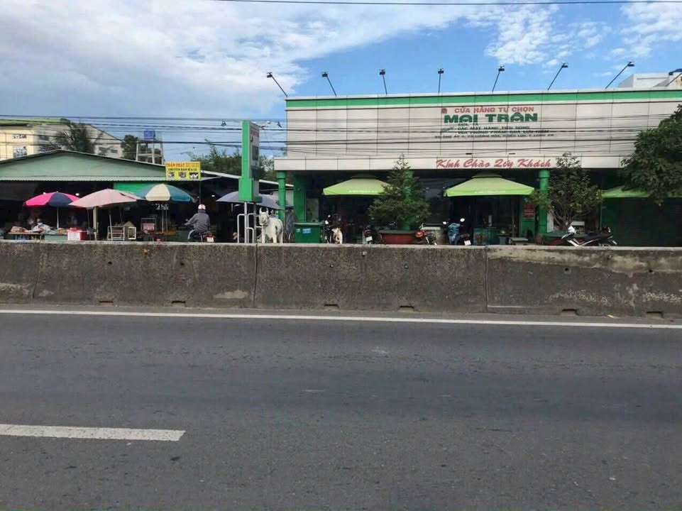 Đất kho/xưởng 4800m² xã Lương Hòa, Bến Lức - Giá chỉ 9 tỷ!