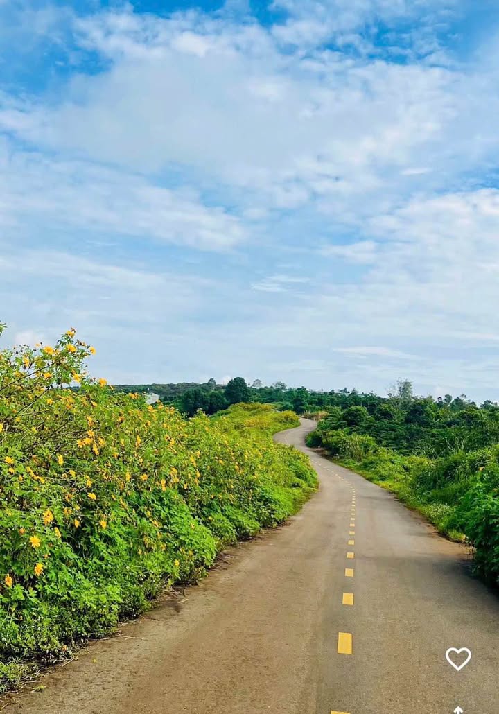 Đất nền Bảo Lộc 540m² giá 1.75 tỷ - Đường lớn, view đẹp!