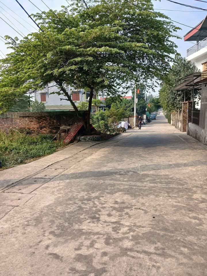 Đất nền 200m² xóm Lò Nồi, Quang Tiến, Sóc Sơn - Sổ đỏ chính chủ, giá thỏa thuận!