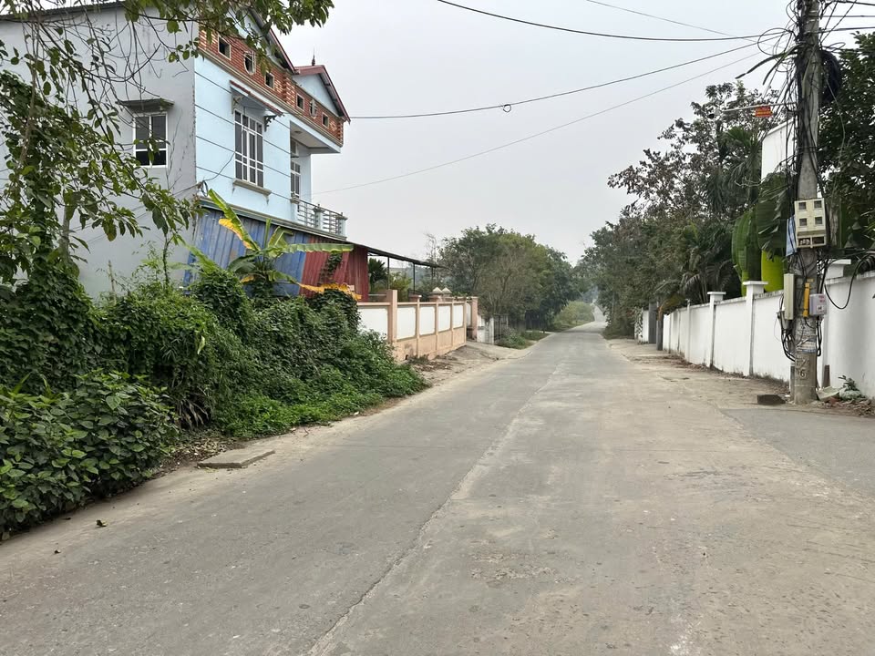 Đất nền chính chủ Thanh Vân, Tam Dương 200m² giá chỉ 1.4 tỷ - Đầu tư sinh lời ngay!