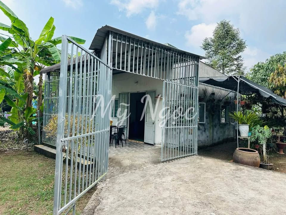 Mảnh vườn 1300m² tại Quốc Lộ 13 giá chỉ 250 triệu - Cơ hội đầu tư tuyệt vời!