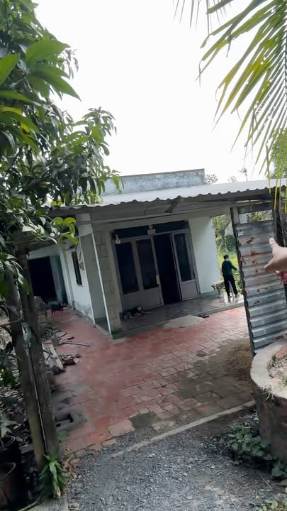 Nhà vườn 400m² Quận 12 giá 2.5 tỷ - Đường xe tải thuận lợi, đầu tư lý tưởng!