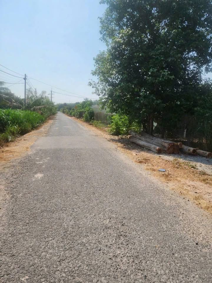 Đất nền An Phú Củ Chi 1240m² giá 3.6 tỷ - Quy hoạch khu dân cư lý tưởng!