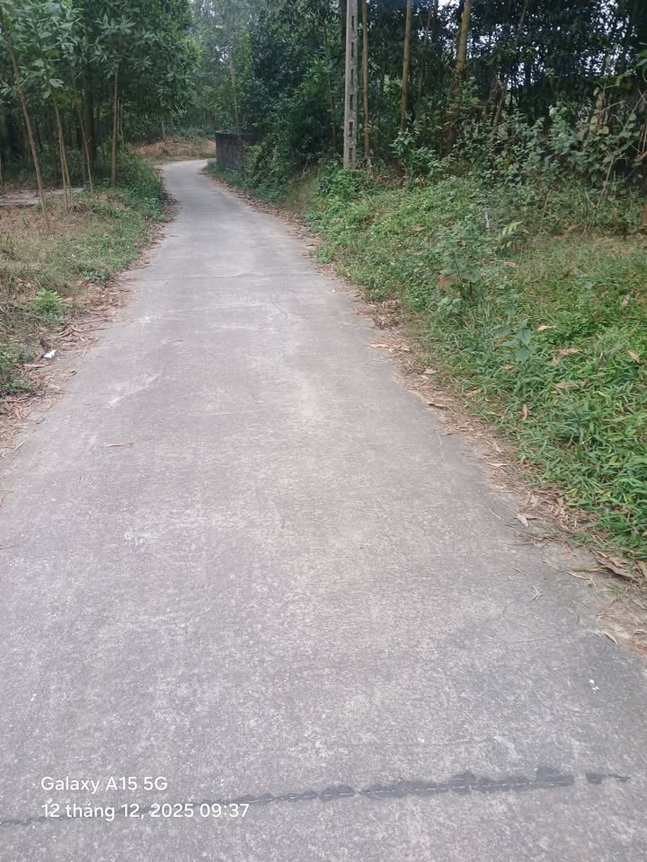 Đất cây lâu năm 1033m² tại xã Phúc Trìu, Thái Nguyên - Vị trí cao thoáng, đầu tư lý tưởng!