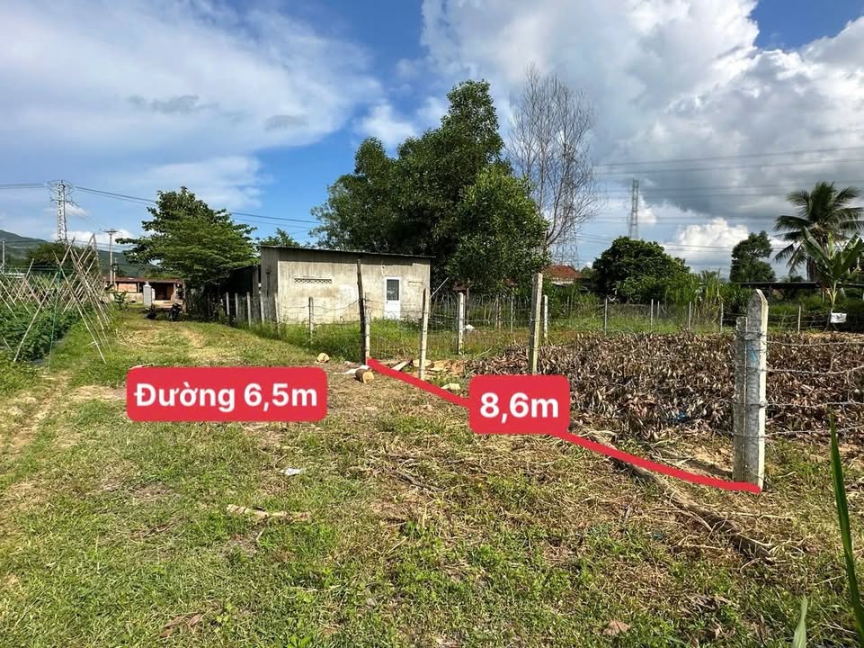 Đất thổ cư 222m² tại Diên Lâm - Diên Khánh chỉ 850 triệu - Sổ hồng chính chủ!