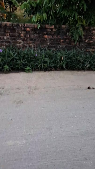 Đất nền Xã Việt Tiến 120m² giá 1 tỷ - Vị trí đắc địa, kinh doanh thuận lợi!