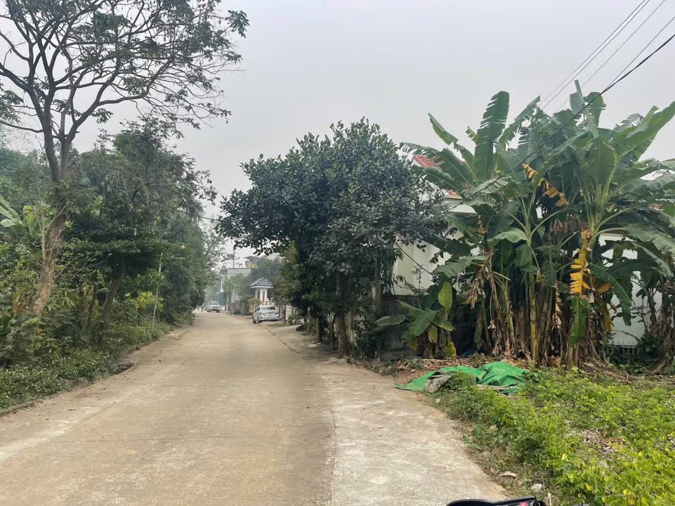 Đất nền Phượng Lâu - 113m² giá 1 tỷ - Đầu tư sinh lời ngay!