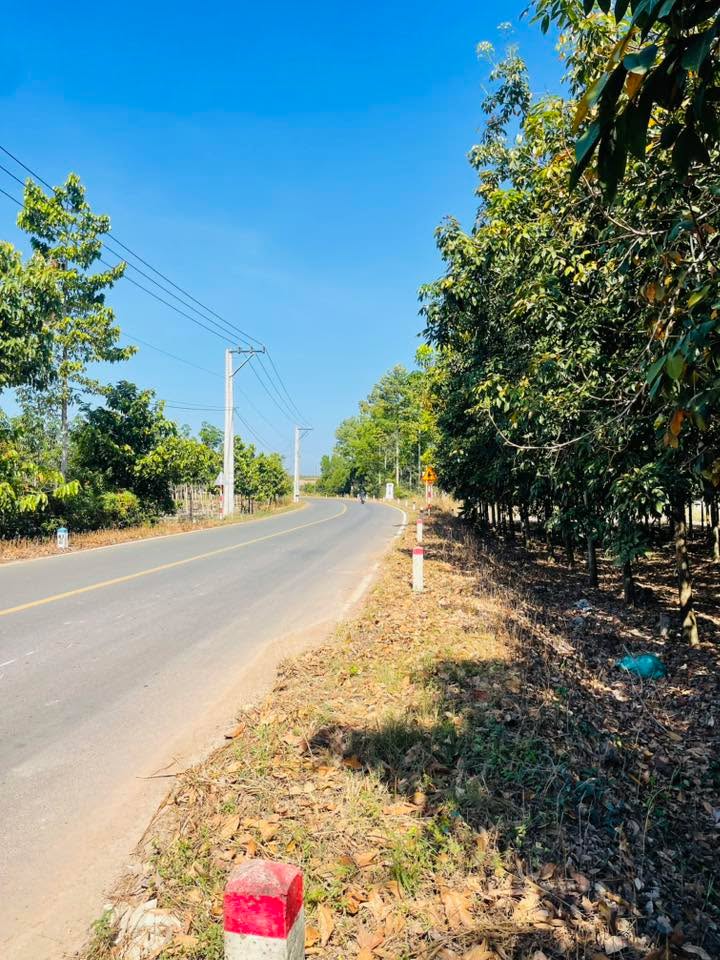 Đất nền 1000m² mặt tiền đường Minh Thành, Bàu Nàm - Giá chỉ 1 tỷ