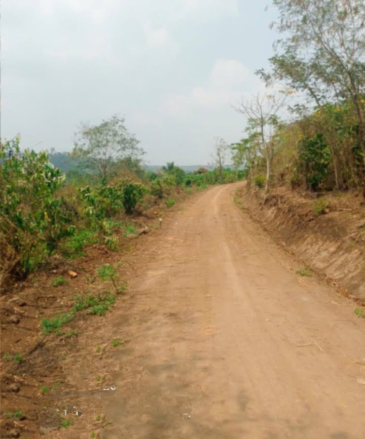 Đất nông nghiệp 2,1 hecta xã Ea Blang, giá 3 tỷ - Cơ hội đầu tư tuyệt vời!