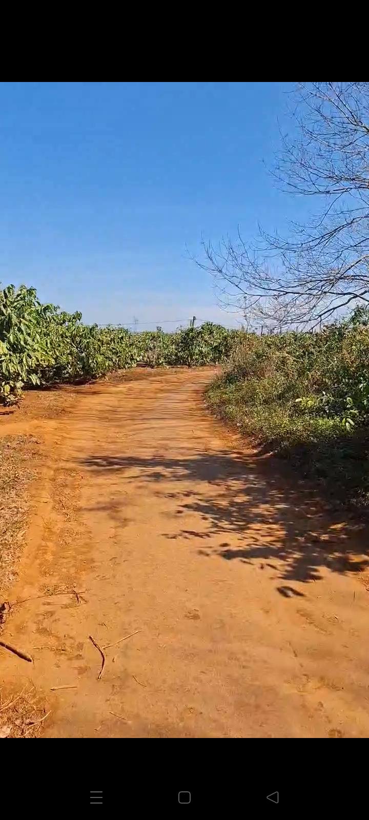 Đất farm 112.000m² tại Ia Bang, Chư Prông - Giá chỉ 18 tỷ, thương lượng!