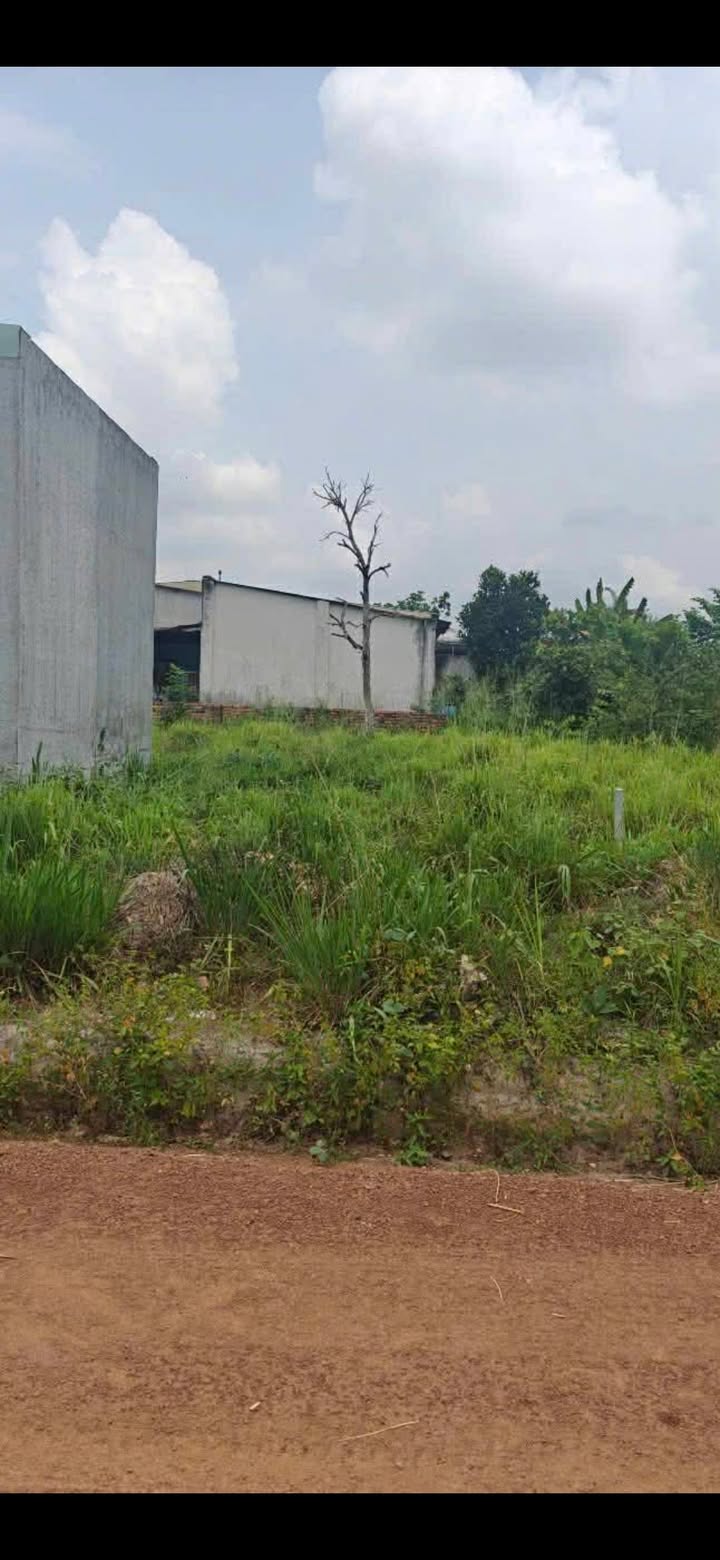 Đất Bến Tượng, Bến Cát 110m² giá 800 triệu - Đầu tư sinh lời ngay!