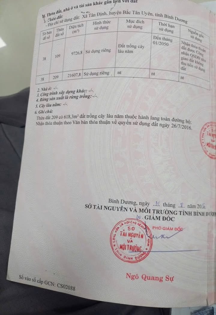 Đất ở Tân Định, Bắc Tân Uyên 20.000m² giá 10 tỷ - Phù hợp làm nhà xưởng!