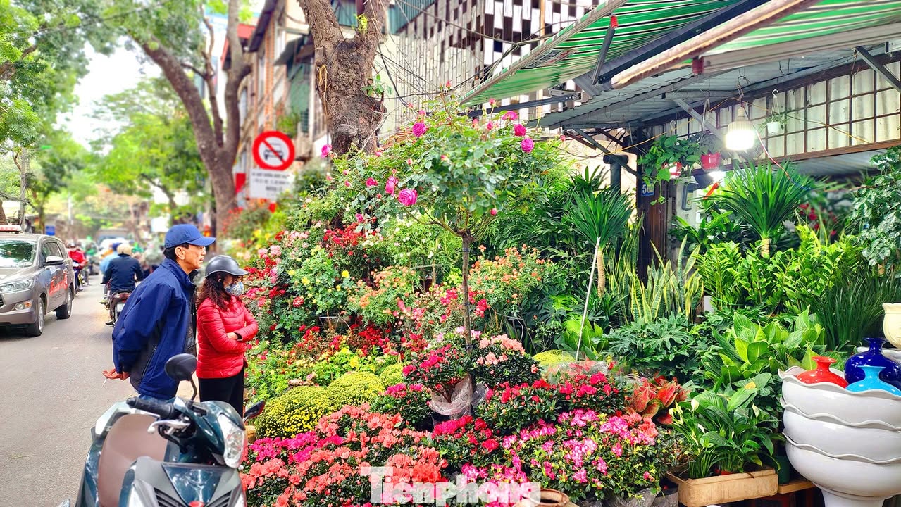 Nhà 5 tầng Hoàng Hoa Thám, Quận Ba Đình, 36m² giá 10 tỷ - Thang máy hiện đại, ô tô vào nhà!