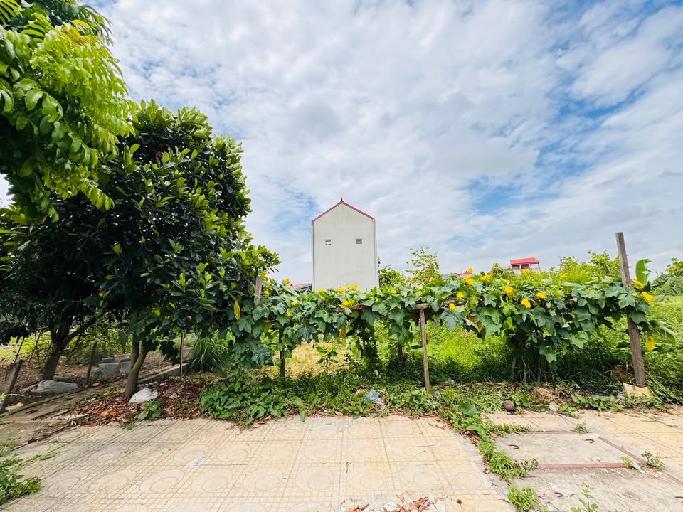 Đất nền Nghĩa Đạo Thuận Thành 128m² giá 5 tỷ - Cần bán gấp chính chủ!