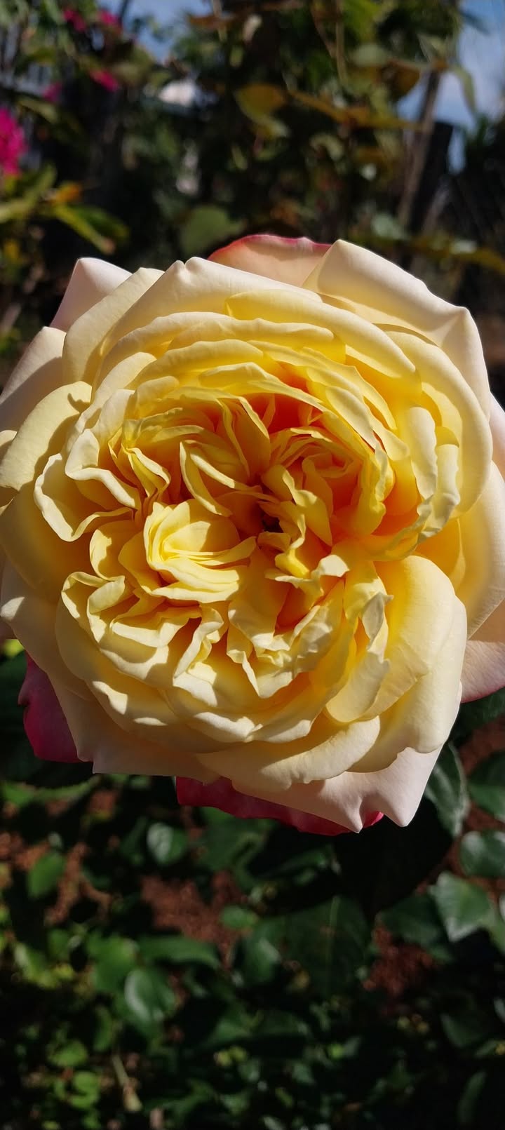 Đất thổ cư Đurkmăn, Cư Kuin, 1800m² - Cơ hội đầu tư tuyệt vời!