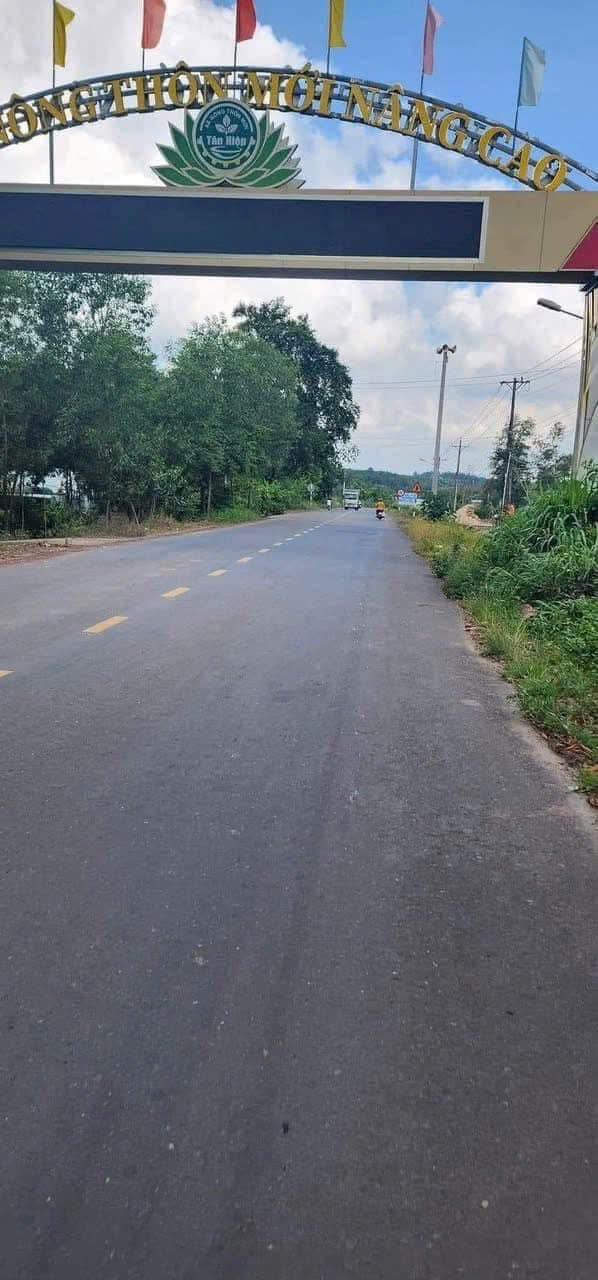 Đất nền Tân Hiệp Phú Giáo 1000m² giá thỏa thuận - Tiềm năng đầu tư cao!