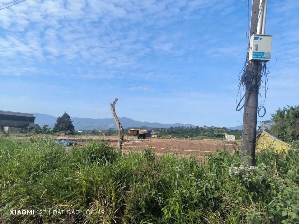 Đất nền Farm 5000m² mặt tiền đường Phường 3 - Giá chỉ từ 19.5 tỷ!