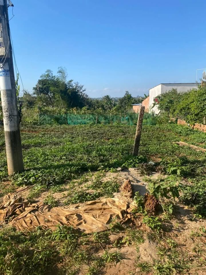 Đất thổ cư xã Ea Kao 560m² giá 12x triệu - Vị trí đẹp, giao thông thuận tiện!