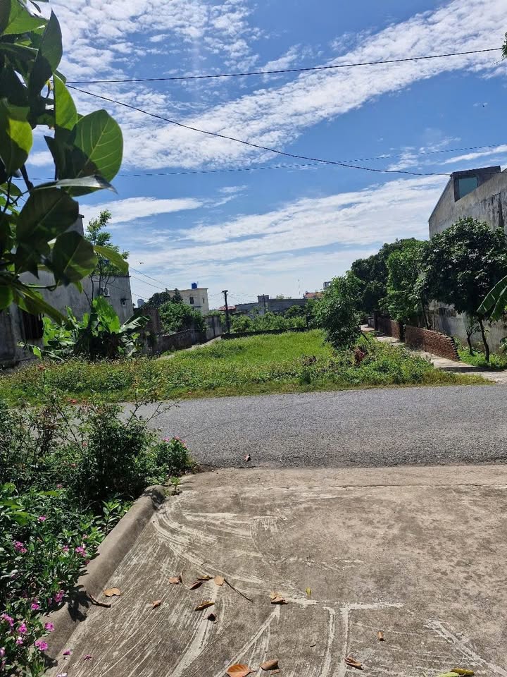 Đất nền 26xx, Xã Đông Minh, Huyện Tiền Hải - Diện tích 223m² - Lô góc 3 mặt tiền