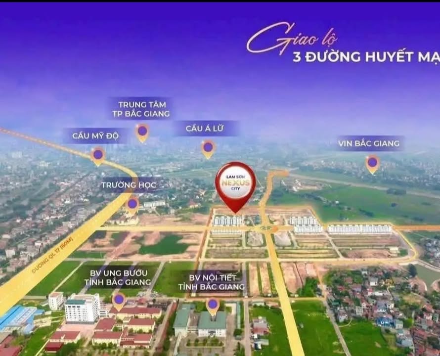 Đất nền dự án Lam Sơn Nexus, Bắc Giang 190m² giá 10 tỷ - Đầu tư sinh lời cao!