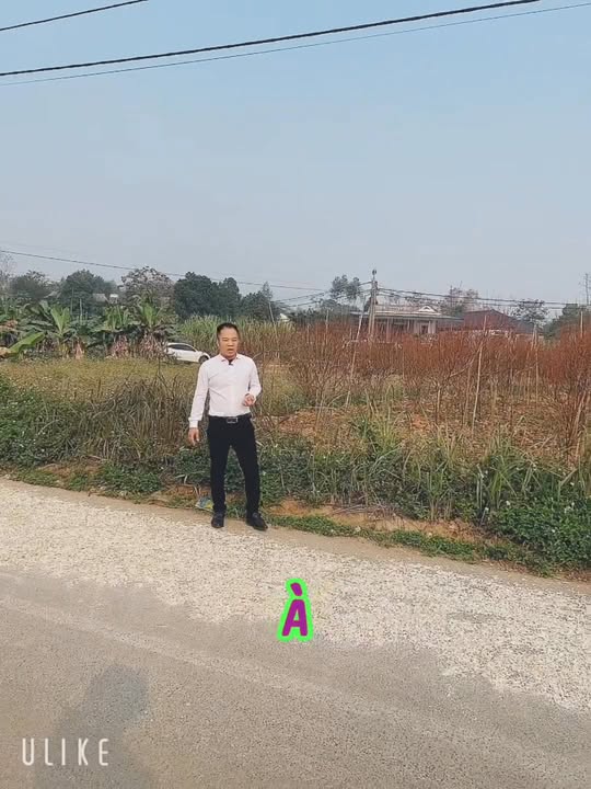 Đất nền Phú Thọ 100m² giá 1 tỷ - Cơ hội đầu tư hiếm có!