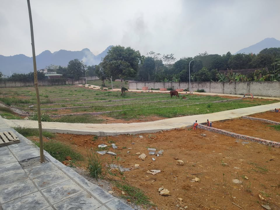 Đất thổ cư Yên Thủy, Hòa Bình 129m² giá 500 triệu - Cơ hội đầu tư hiếm có!