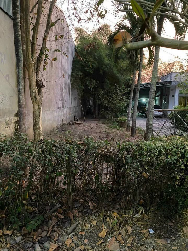 Đất thổ cư 200m² tại Trảng Bàng, Tây Ninh giá 4 tỷ - Cơ hội đầu tư hấp dẫn!