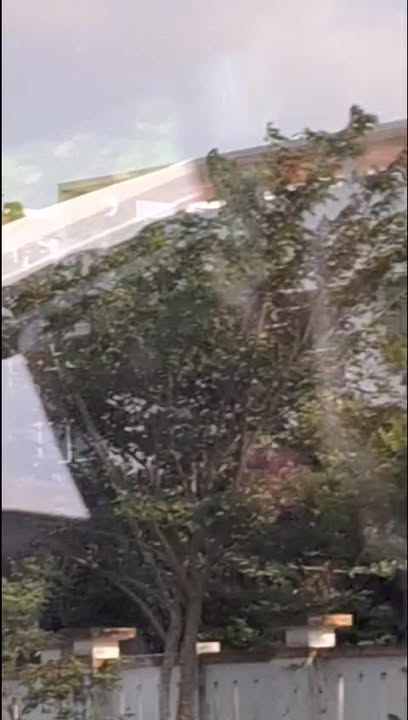 Đất nền Ninh Hòa 200m² giá thỏa thuận - Cơ hội đầu tư sinh lời cao!