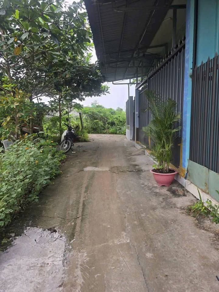 Đất nền đẹp Tân Mỹ Chánh 53m² giá chỉ 300 triệu - Cơ hội đầu tư tuyệt vời!