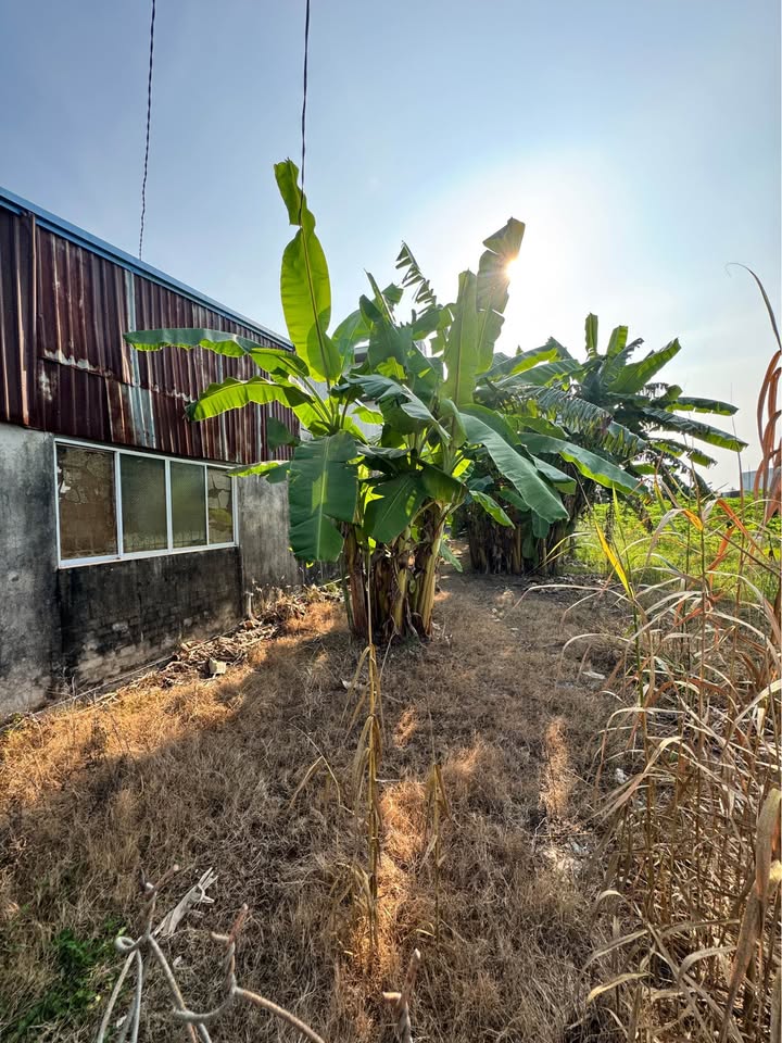 FrontHouse mặt tiền đường Nguyễn Văn Linh, 1474m² giá 4.5 tỷ - Cơ hội đầu tư hiếm có!