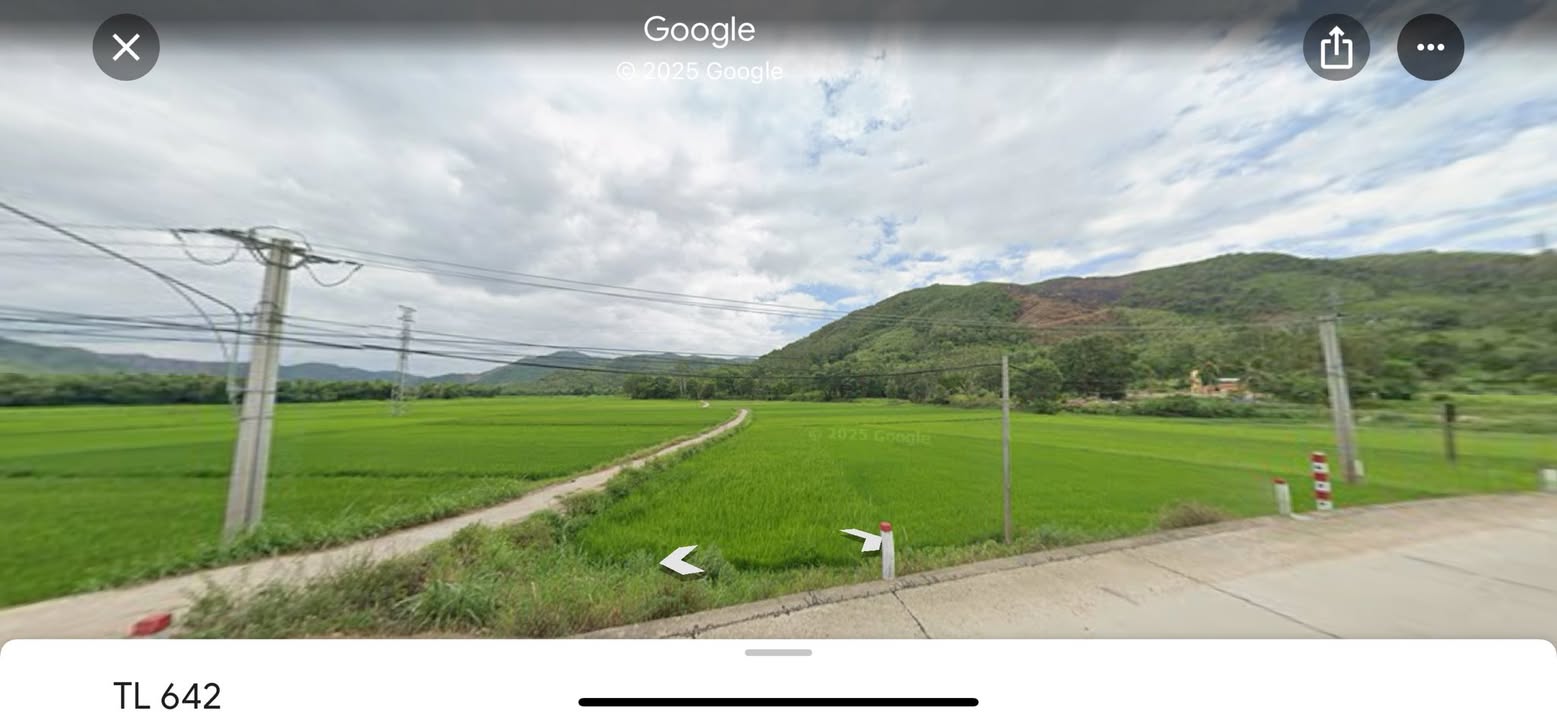 Đất rừng 2Ha tại xã Xuân Sơn Bắc, huyện Đồng Xuân - Cơ hội đầu tư tuyệt vời!