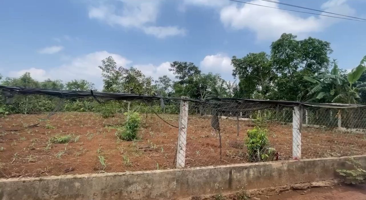 Đất nền Phường Bình Tân, Thị Xã Buôn Hồ 150m² giá 295 triệu - Sổ đỏ chính chủ, bớt lộc!