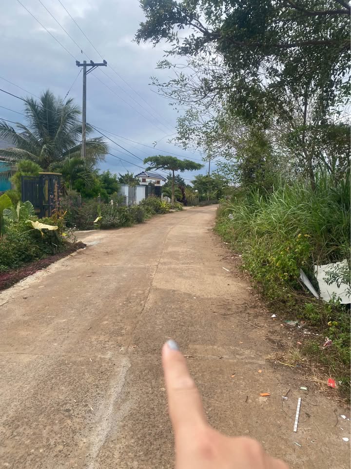 Nhà cấp 4 Tân Hội, Đức Trọng 619m² giá 950 triệu - Pháp lý rõ ràng, đầu tư sinh lời!