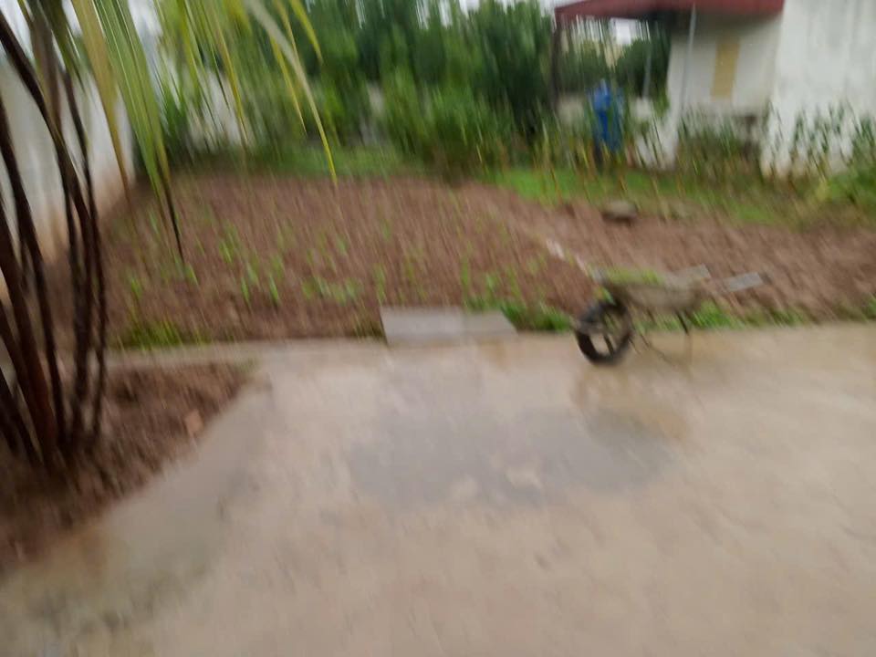 Đất thổ cư 250m² mặt đường Quang Trung, Giao Thủy - Giá thỏa thuận hấp dẫn!