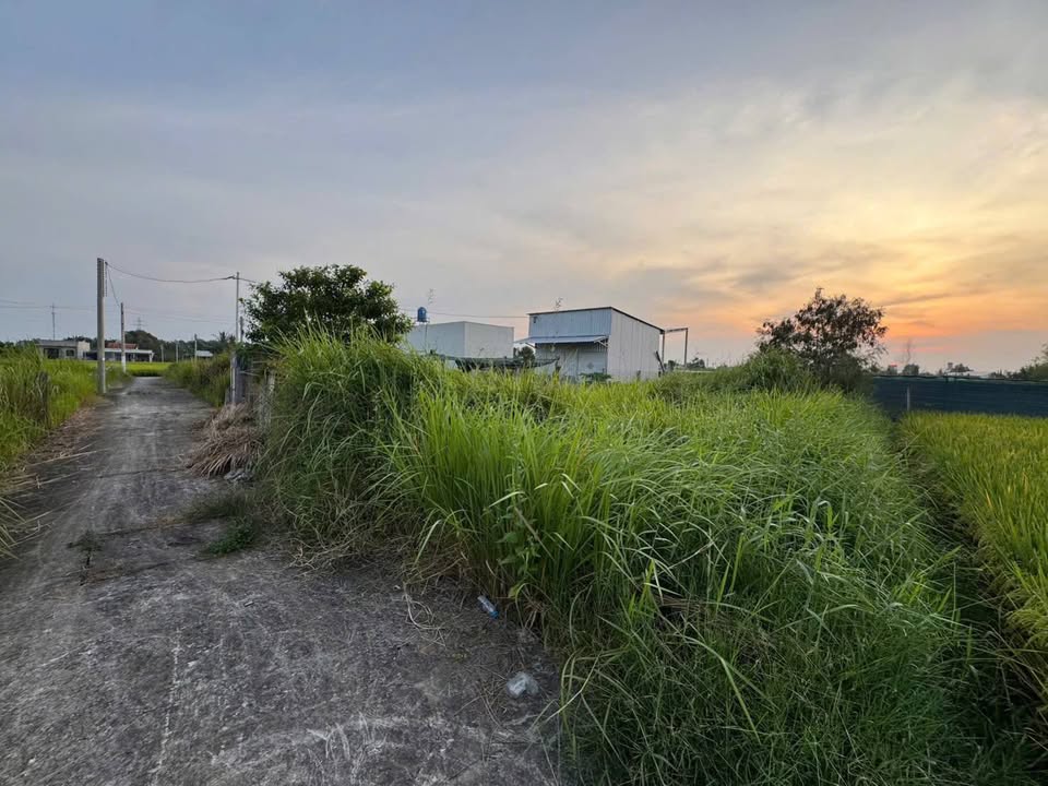 Đất thổ cư 100m² xã Phước Lâm, Cần Giuộc, giá 610 triệu - Đường xe hơi tới nơi!