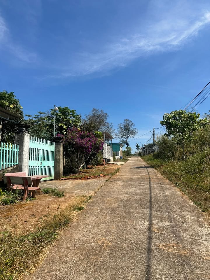 Đất nền Ninh Loan, Đức Trọng 320m² giá 1.1 tỷ - Cơ hội vàng cho nhà đầu tư!