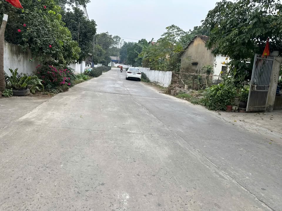 Đất nền chính chủ Thôn Mới, Thanh Vân 200m² giá 1.4 tỷ - Kinh doanh tiềm năng!