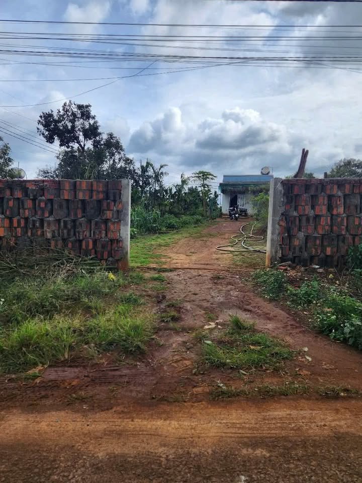 Lô đất thổ cư 100m² tại Thôn Trung Lộc, Krông Búk, 760m² - Tiện ích đầy đủ, đầu tư sinh lời!