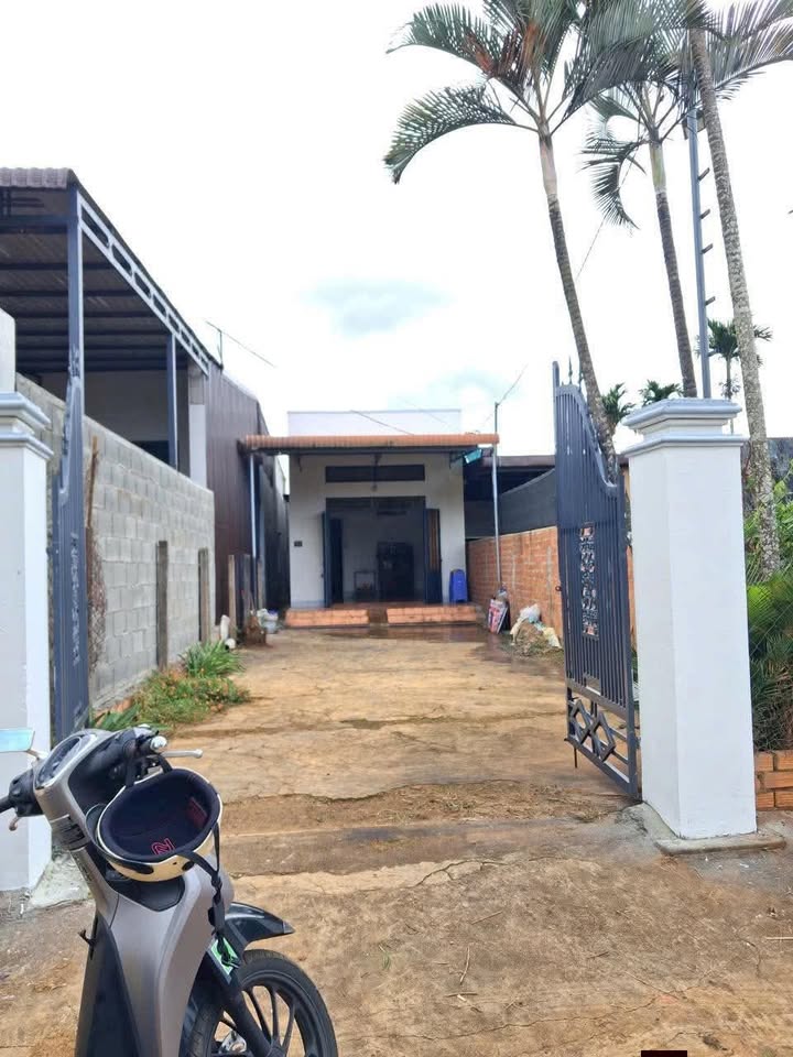 Nhà bán tại đường Trịnh Hoài Đức, Buôn Hồ 300m² giá 1.8 tỷ - Cơ hội đầu tư hấp dẫn!